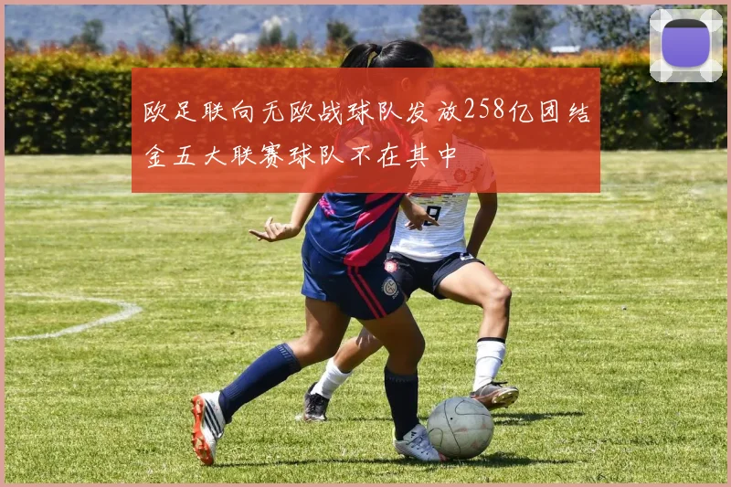 欧足联向无欧战球队发放258亿团结金五大联赛球队不在其中
